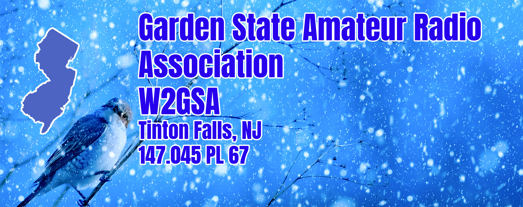 late february gsara banner